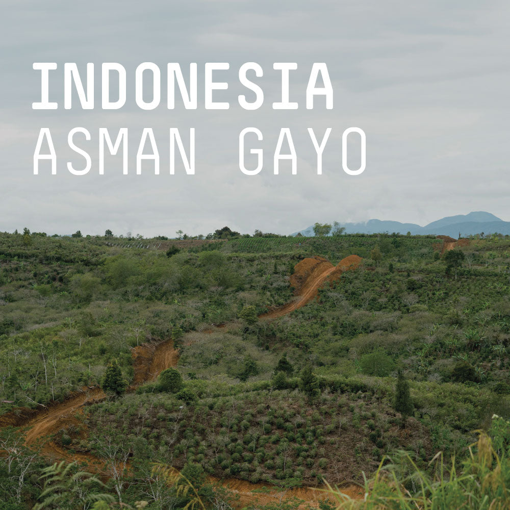 Indonesia, Asman Gayo - Single Origin Espresso