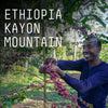 Ethiopia, Kayon Mountain - Single Origin Espresso