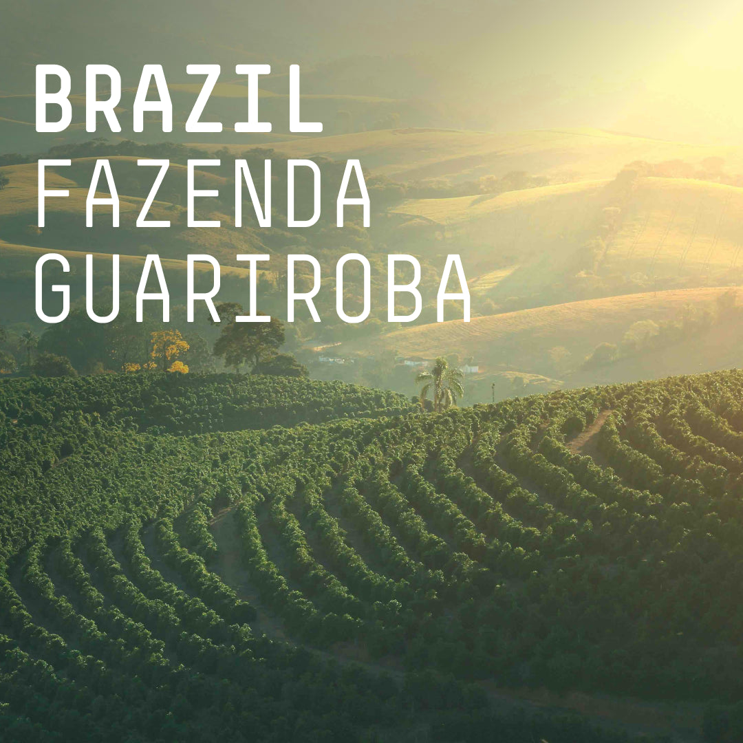 Brazil, Fazenda Guariroba - Single Origin Filter