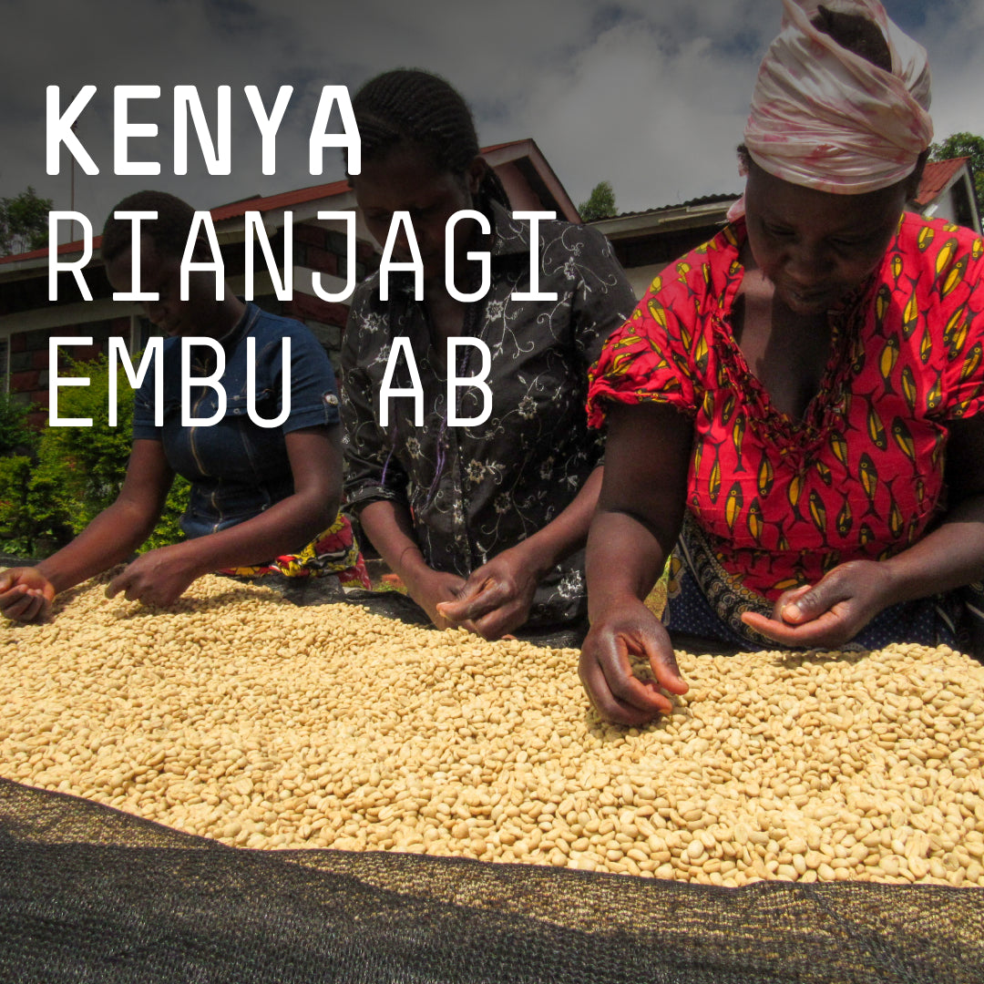 Kenya, Rianjagi Embu AB - Single Origin Filter